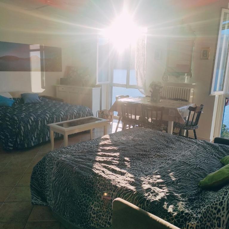 Camilla House - Appartamento - 21