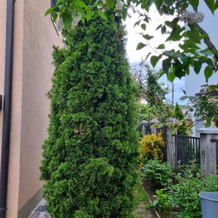 APARTMAN SARAJEVO DVOKREVETNI-dvije osobe - One-Bedroom Apartment - 14