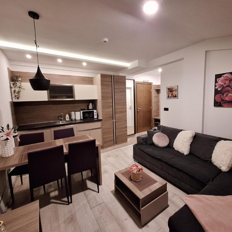 Apartmani L6 & P90 Milmari Kopaonik - Apartman sa 1 Spavaćom Sobom - 13