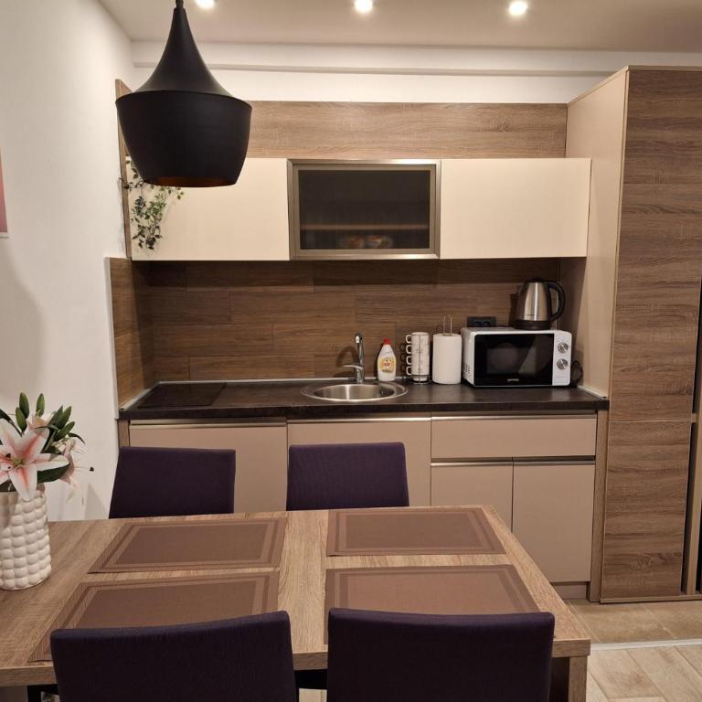 Apartmani L6 & P90 Milmari Kopaonik - Apartman sa 1 Spavaćom Sobom - 14