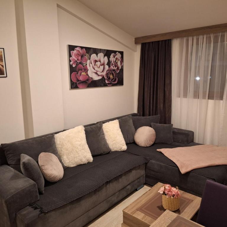 Apartmani L6 & P90 Milmari Kopaonik - Apartman sa 1 Spavaćom Sobom - 15