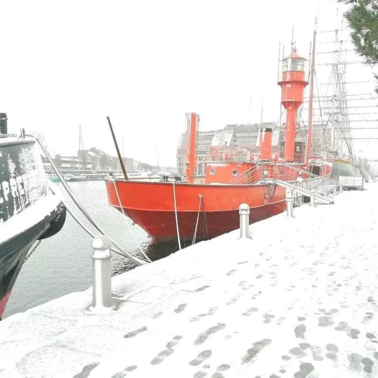 Maison de Ville restylée avec jardin, proche gare - Maison 1 Chambre - 38
