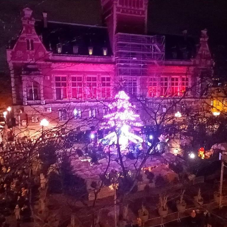 Maison de Ville restylée avec jardin, proche gare - Maison 1 Chambre - 31