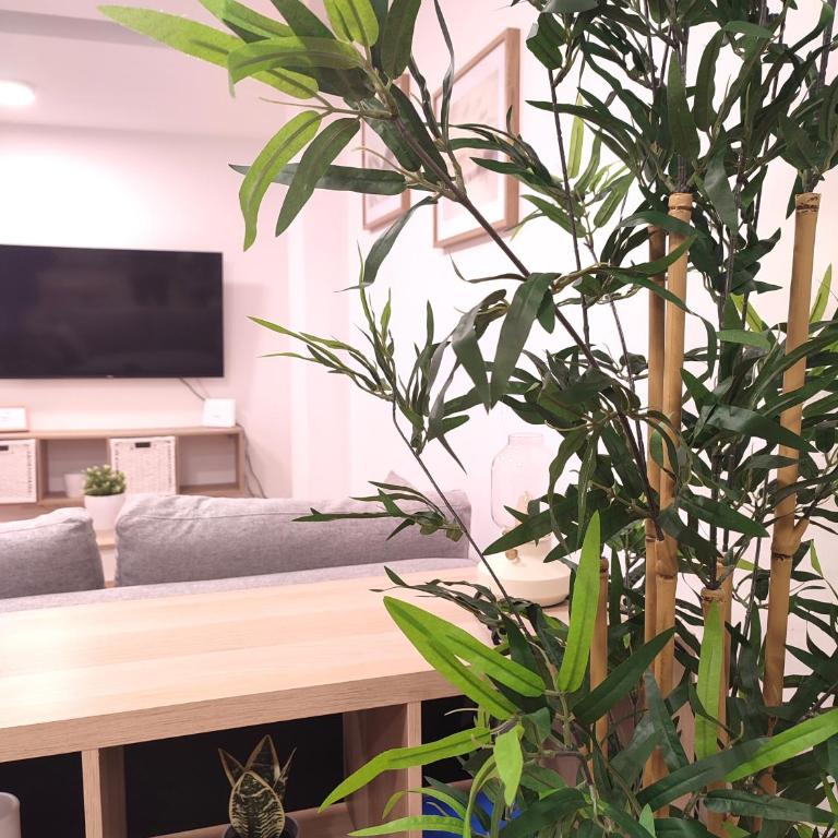 ÓPERA CAMPOAMOR (CENTRO CIUDAD, PLAZA DE GARAJE) - Apartamento de 1 dormitorio - 6