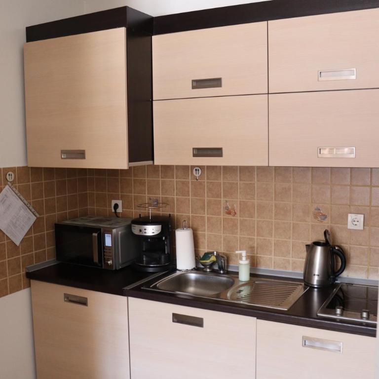 Apartman Snesko Zoned - Studio with Mountain View - 5