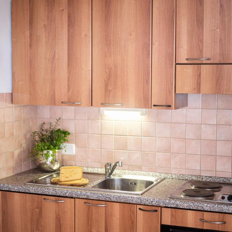 Schittlerhof - Apartment mit Dusche - 2