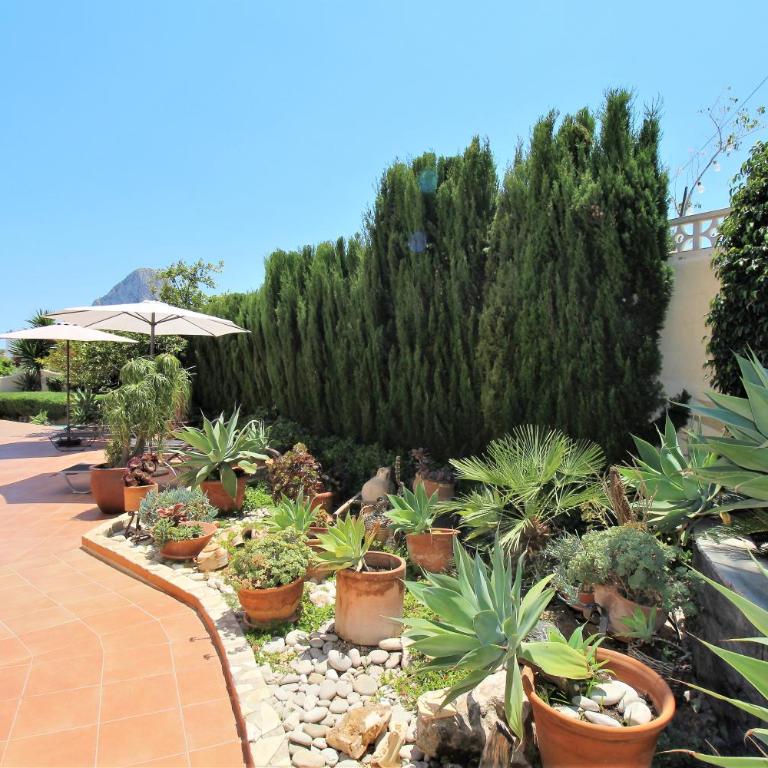 Casa Luna Llena - Villa Superior - 15