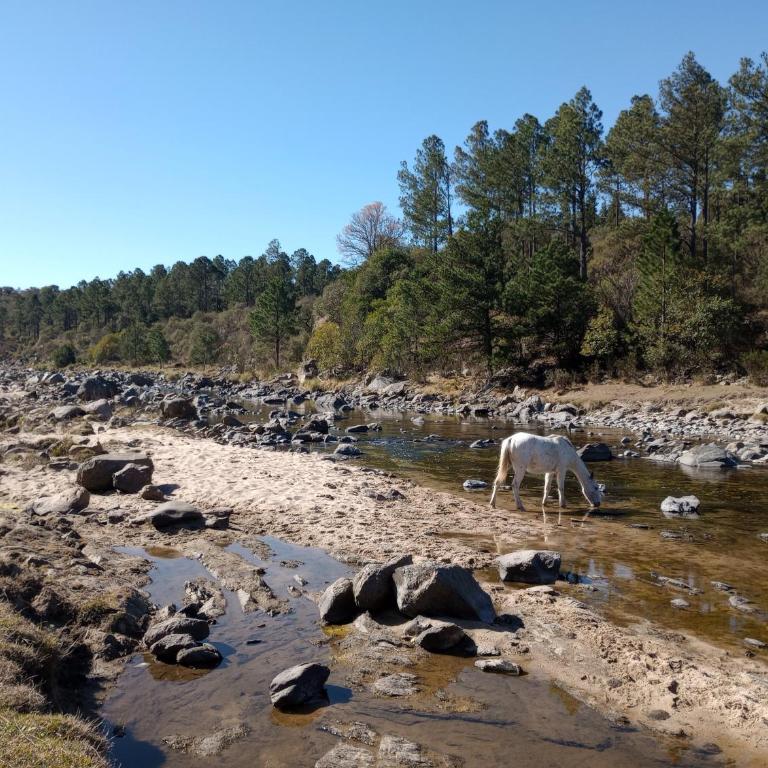 La Vertiente - Casa de Campo - Casa de 3 dormitorios - 37