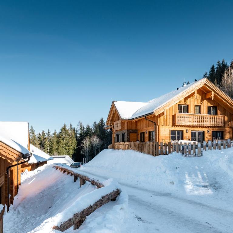Poolchalet Dachsteinblick - Chalet - 60