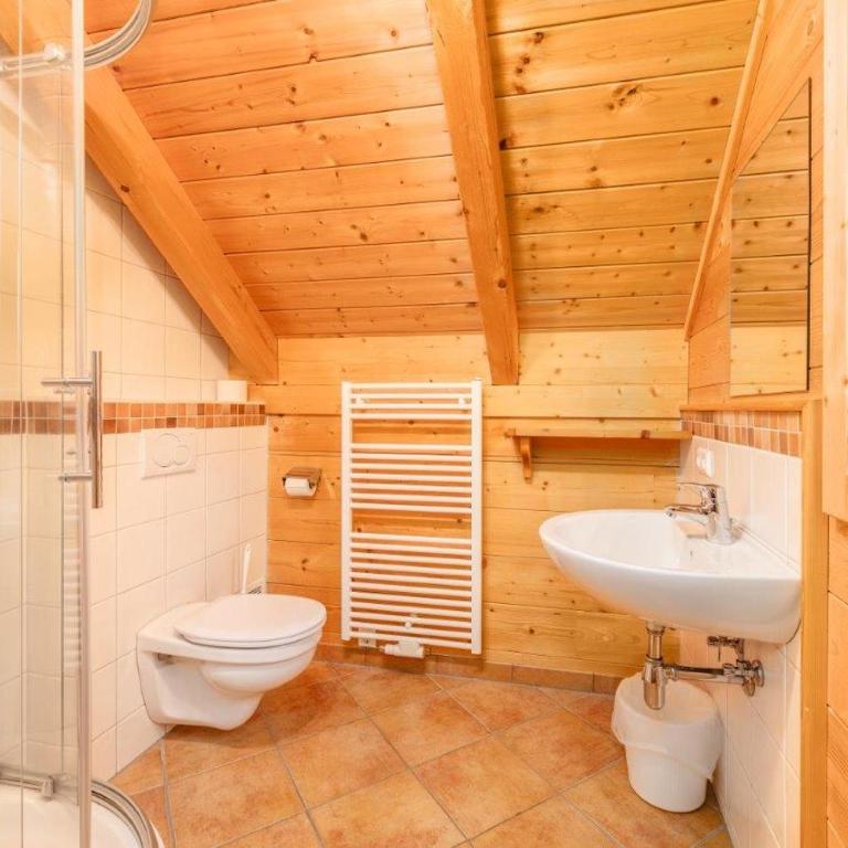 Chalet Dachsteinblick - Chalet - 33