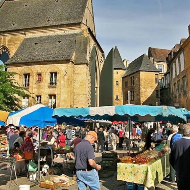 LA LOGGIA DE LA SALAMANDRE (DANS SARLAT) - Villa - 56