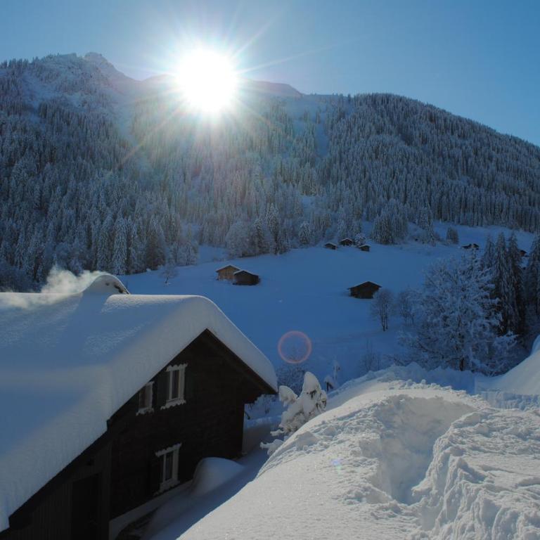 Alpenchalet Piz Hüsli - Chalet mit 2 Schlafzimmern - 49