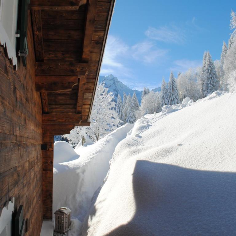 Alpenchalet Piz Hüsli - Chalet mit 2 Schlafzimmern - 50
