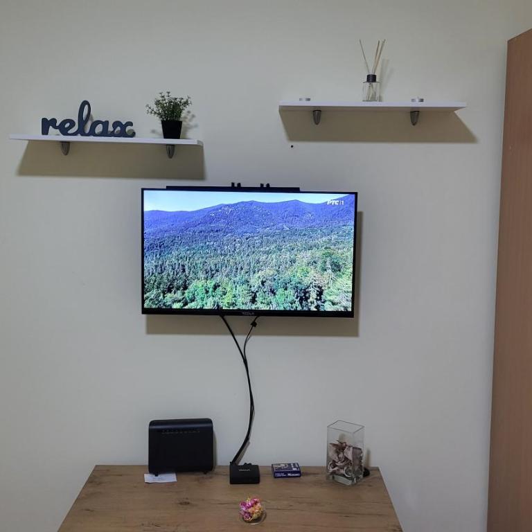 Garsonjera Ilic - Standardni Studio - 1