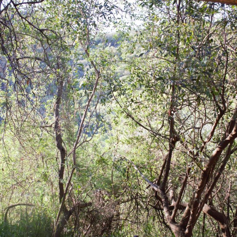 Glamping Octógono - Apartamento de 1 dormitorio - 38
