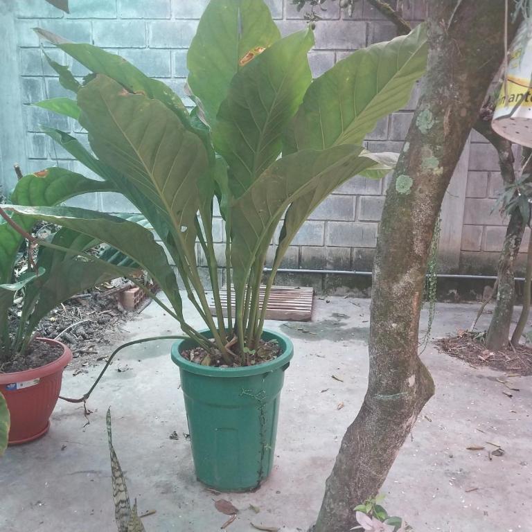 DEPA de 2 camas - Two-Bedroom Apartment - 31