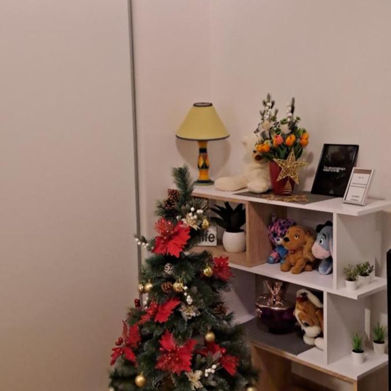 Manhattan apartman Zumbul Belvil - Apartman sa 1 Spavaćom Sobom - 5