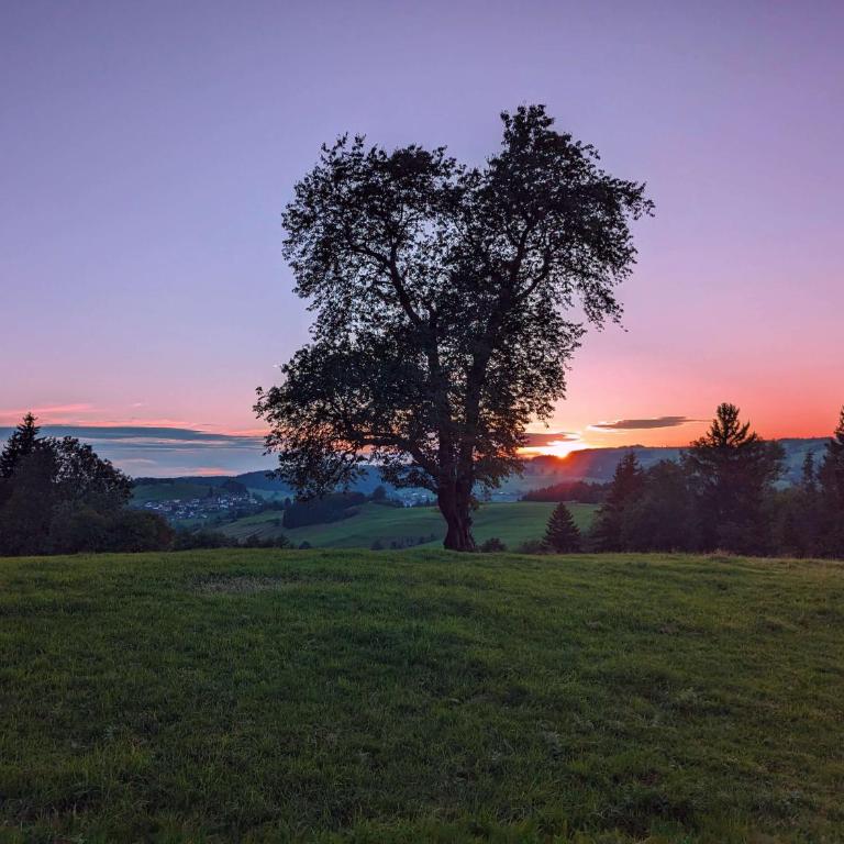 4-Sterne Tiny House & erholsame Ruhe und ganz viel Natur im Oberallgäu - Chalet mit 1 Schlafzimmer - 9