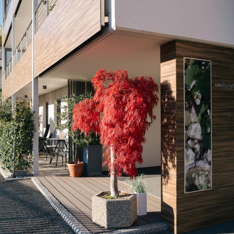 Cityview Brixen - One-Bedroom Apartment - 18
