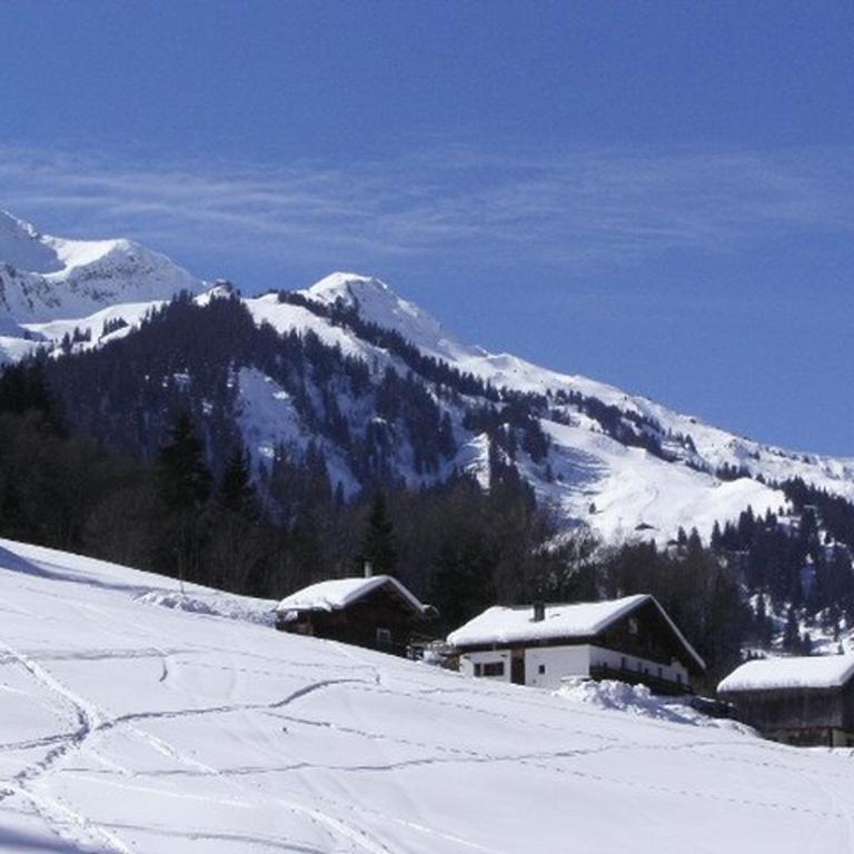 Charmant Studio 2/4 pers à 200m des pistes, balcon sud, animaux admis - Studio - 12