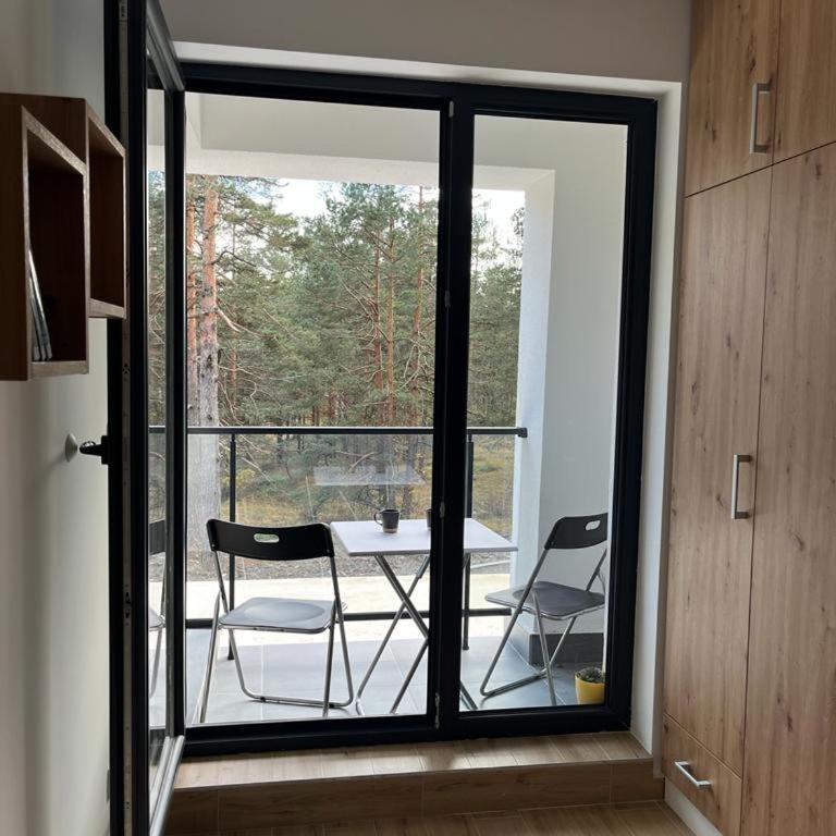 zeleni bor Divcibare - Apartman sa 1 Spavaćom Sobom - 28