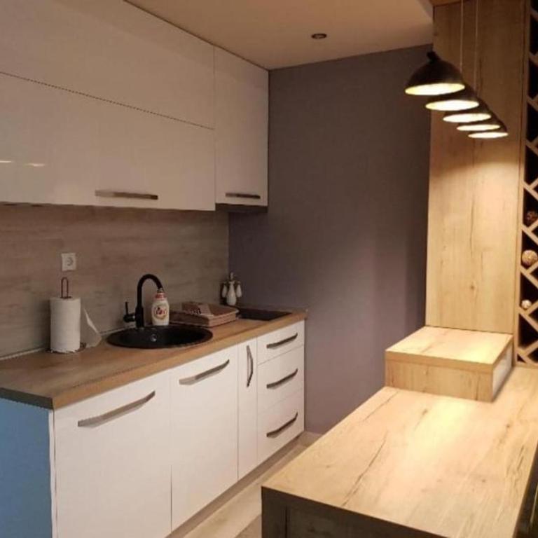 Apartman Janjic Jahorina - Apartman sa 1 Spavaćom Sobom - 9