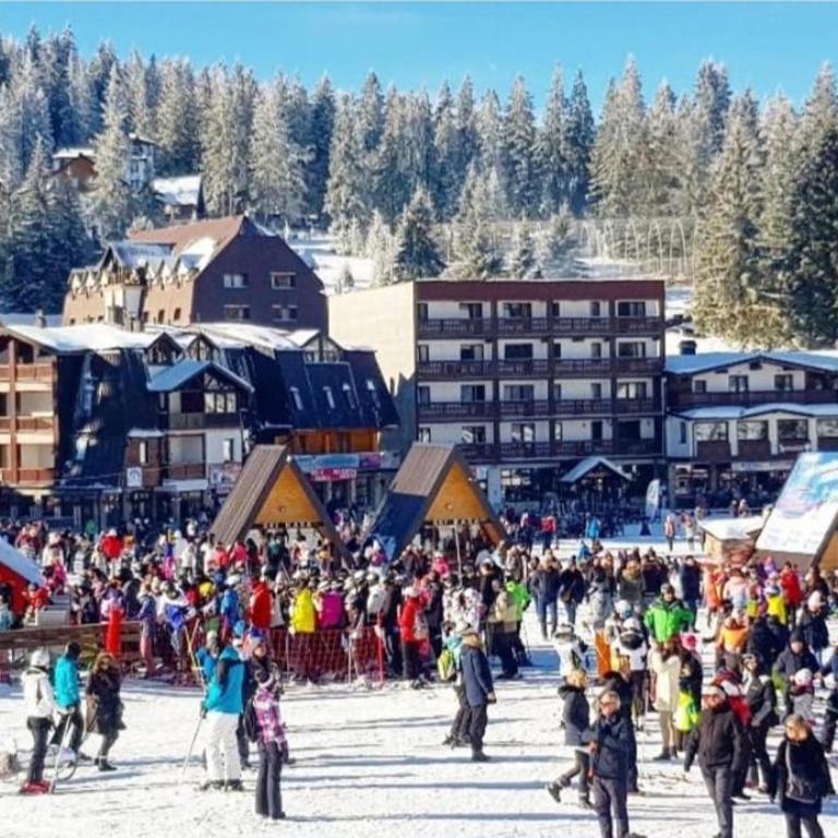 Apartman Janjic Jahorina - Apartman sa 1 Spavaćom Sobom - 14