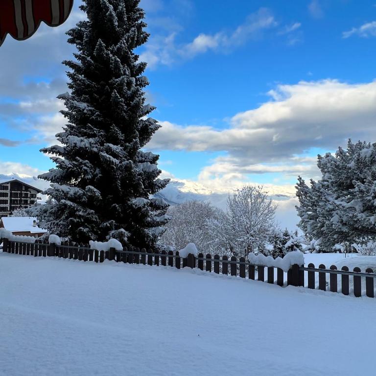 2,5 pièces à Haute-Nendaz, grande terrasse, piscine, sauna, tennis - Apartment mit 1 Schlafzimmer - 13