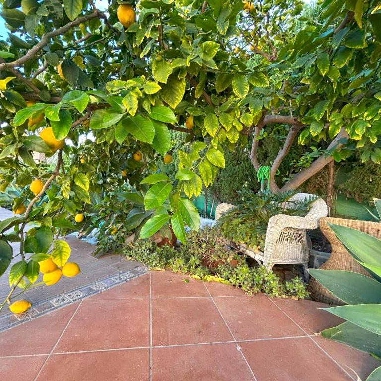 Casa Luna Llena - Villa Superior - 16