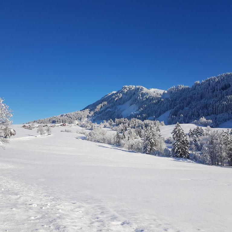 4-Sterne Tiny House & erholsame Ruhe und ganz viel Natur im Oberallgäu - Chalet mit 1 Schlafzimmer - 7