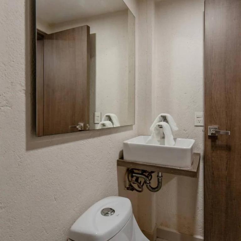 Central and cozy CDMX 1BR - Apartment - Ground Floor - 3