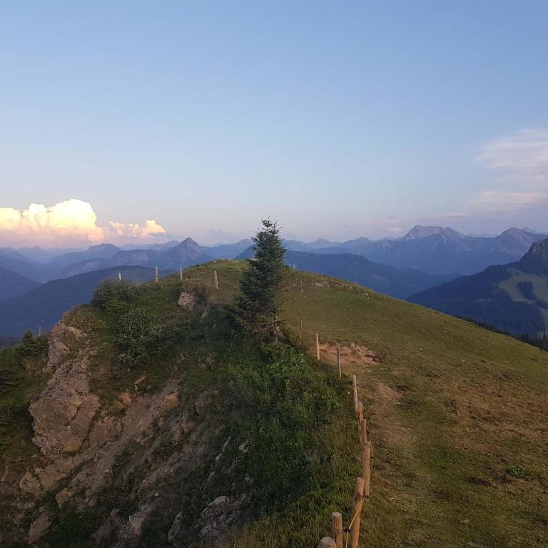 4-Sterne Tiny House & erholsame Ruhe und ganz viel Natur im Oberallgäu - Chalet mit 1 Schlafzimmer - 13
