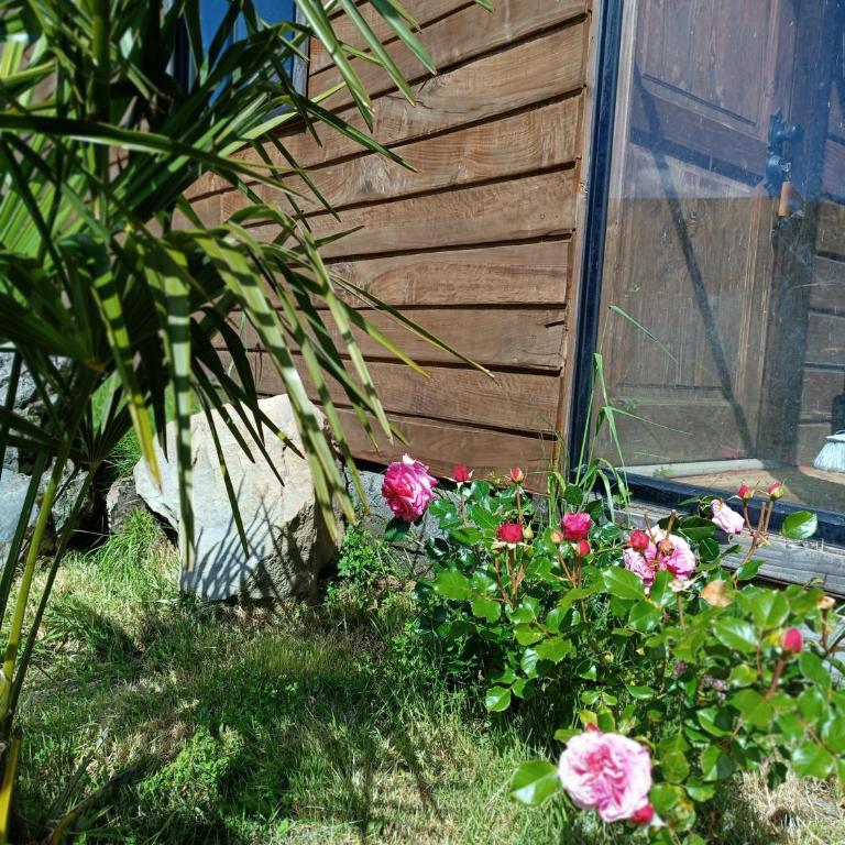 Calafquén Coñaripe Cabañas - Two-Bedroom House - 27