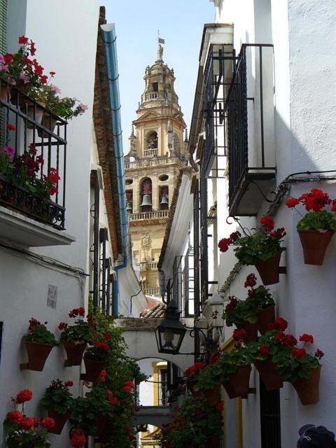 APARTAMENTO PUERTA DE CÓRDOBA- Exterior con balcones - Apartamento de 2 dormitorios - 41