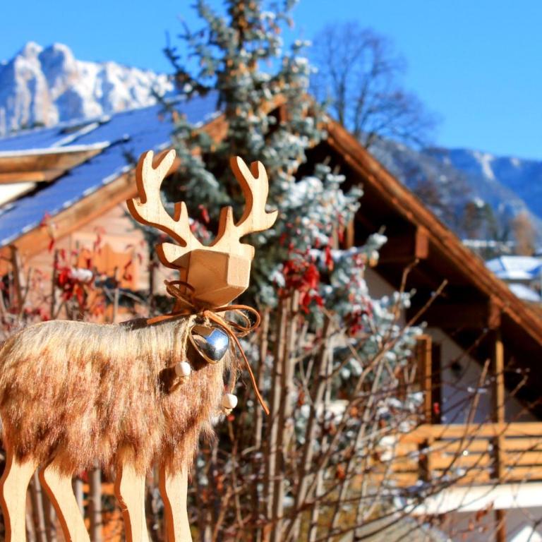 CASA DOLOMIA - Agenzia Dolomiti Affitti - Appartamento con 3 Camere da Letto - 21