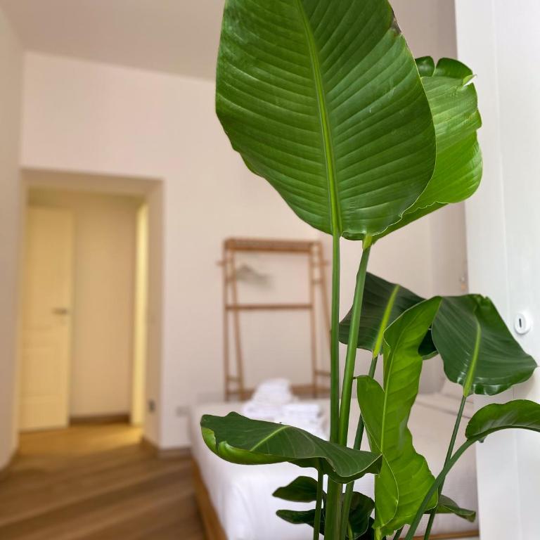 Boho Suites - Rome Colosseum - Camera Matrimoniale Deluxe - 10