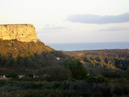 VILLA TAMARIS - authentique chalet - Gruissan Plage des chalets - Chalet 2 Chambres - 26