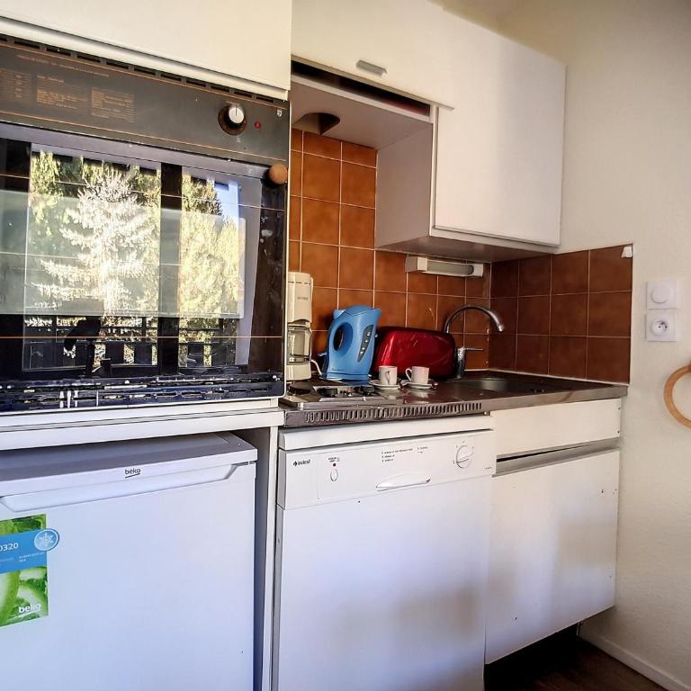 Studio cosy aux pieds des pistes, balcon, animaux admis - FR-1-344-884 - Studio - 15