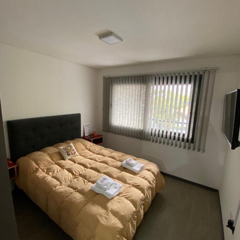 DEPARTAMENTO ZONA CENTRO R. ROCA - Apartamento de 1 dormitorio - 15