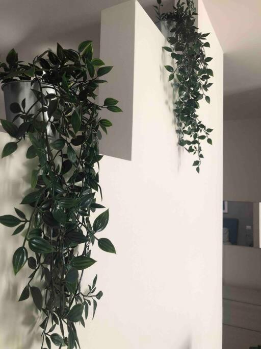 Appartamento in zona centrale a uso esclusivo - Appartamento con 1 Camera da Letto - 11