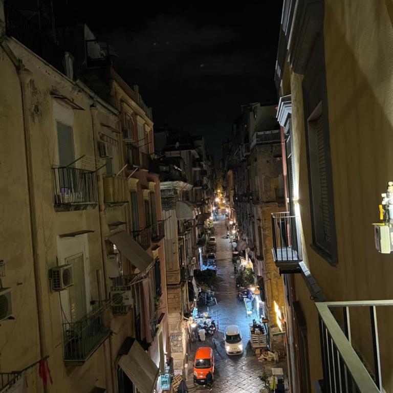 Ninetta a Toledo - Appartamento con 1 Camera da Letto - 9