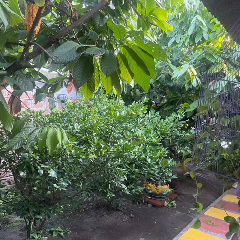 La Casa de Mónyk de la P En la jagua Huila - Casa con 1 dormitorio - 12
