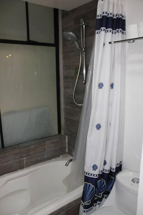 Lomas De Chapultepec céntrico - One-Bedroom Apartment - 35