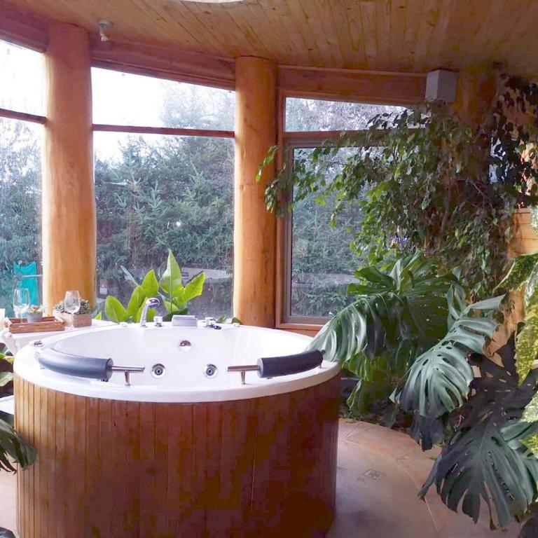 Cabañas Mapulauquen - Casa de 2 dormitorios - 19