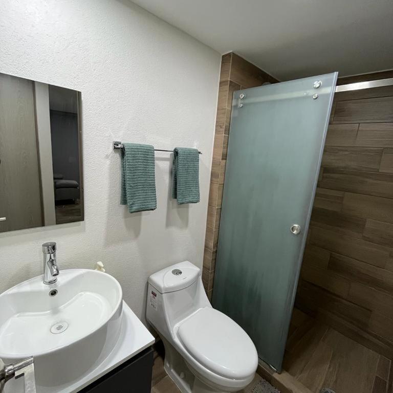 Depa a 5 cuadras de Roma Norte - Two-Bedroom Apartment - 6