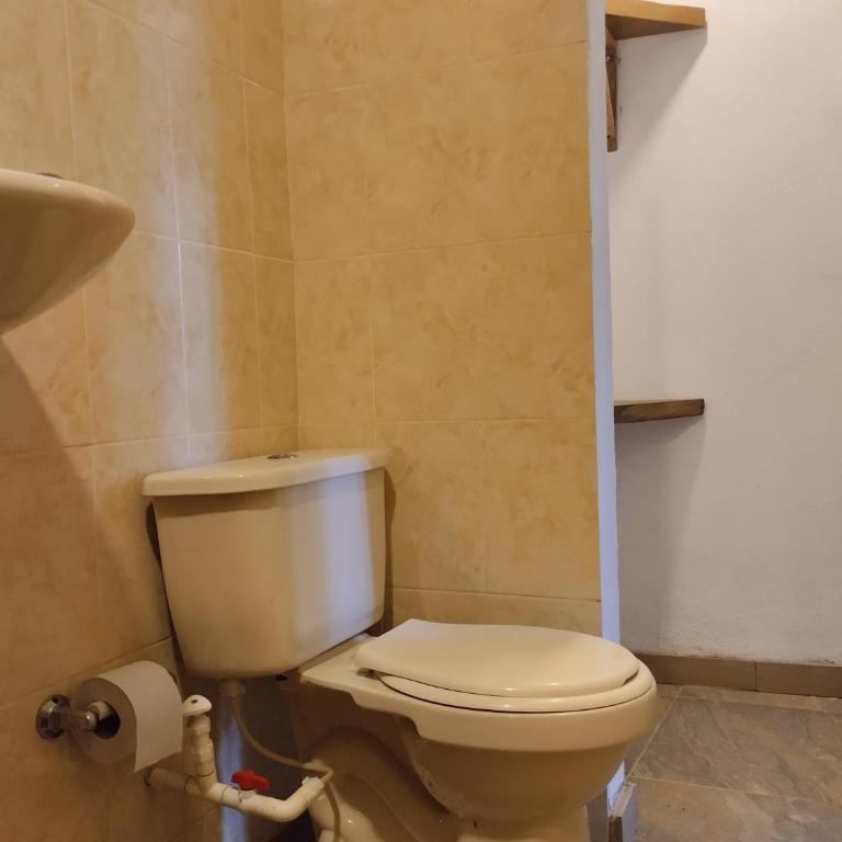 Hermoso Palomino - Habitación Doble Superior - 9