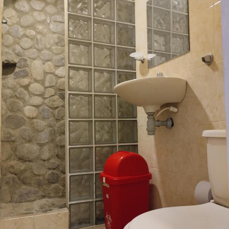 Hermoso Palomino - Habitación Doble Superior - 8