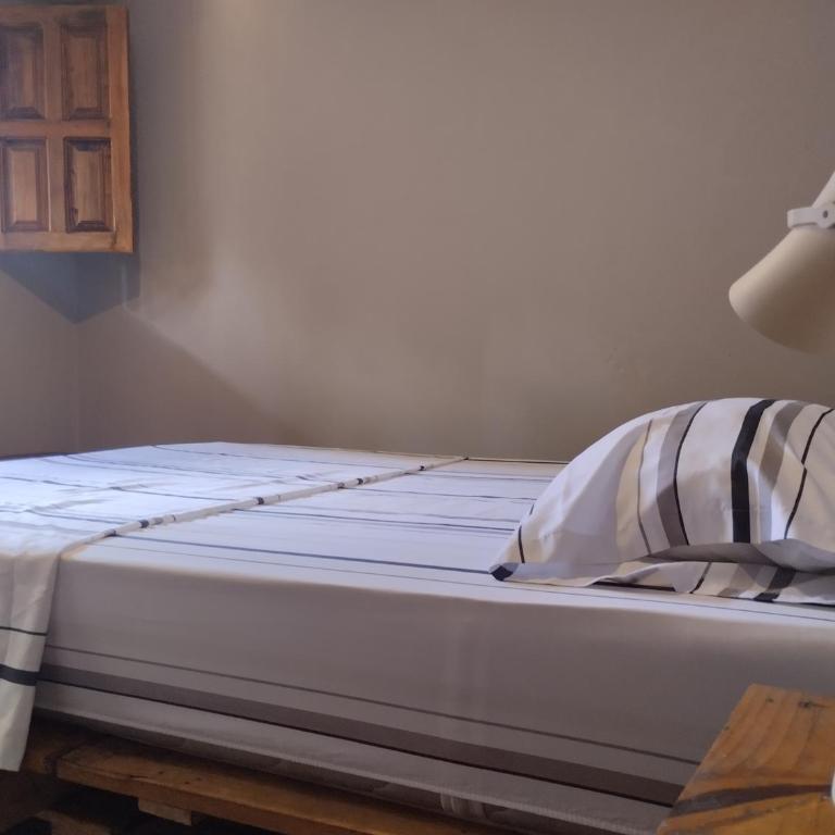 Hermoso Palomino - Habitación Doble con baño privado - 4