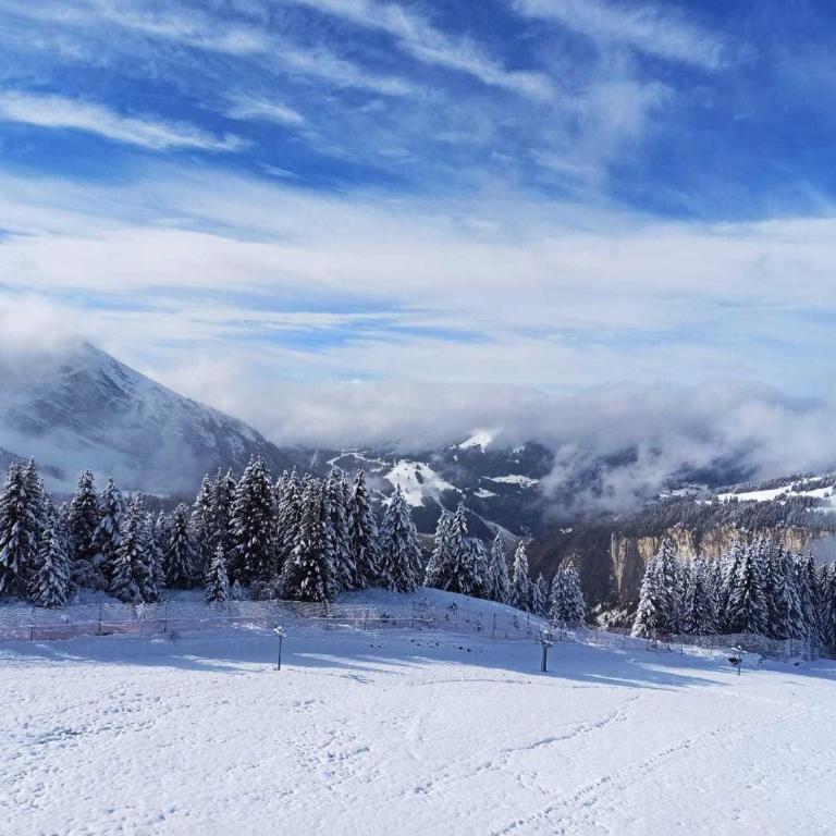Avoriaz - Bel appartement rénové pour 4 pers avec wifi - FR-1-633-32 - Appartement (4 Adultes) - 7