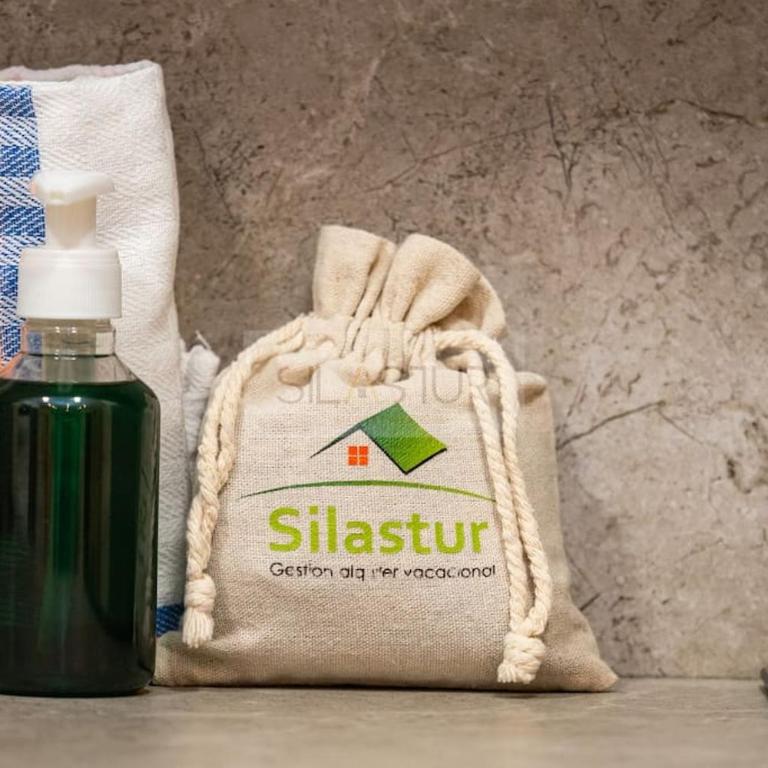 La Cantábrica By Silastur - Apartamento de 1 dormitorio - 13